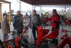 Floria Kromeriz podzim 2013 01.jpg