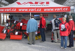 Floria Kromeriz podzim 2013 06.jpg