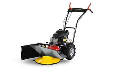 DS-521 Agatha