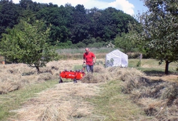The OP-1.1 hay tedder at work