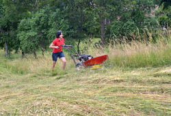 DS-521Z Agatha drum mower at work
