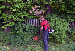 Křovinořez VARI 432HB