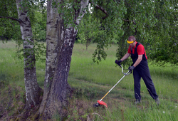 Křovinořez VARI 432HB