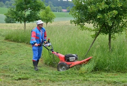 Změněná velikost IMG_0858