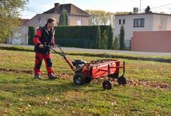 OP_LISTI IMG_2960