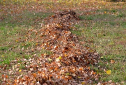 OP_LISTI IMG_2961