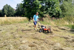 IMG_20190807_150605