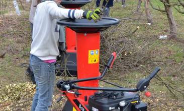 Vari kajman Vari kajman