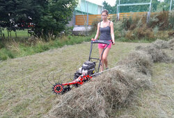 IMG_20190807_164035