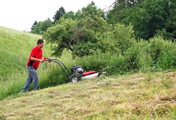 F-550 brush cutter at work