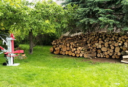 IMG_20190521_101146_resize