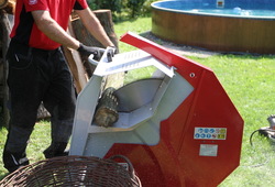 IMG_0809_resize