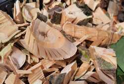 89a3272f-cf75-4003-8878-5b063ac9521c