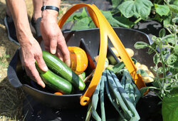 Grow and be selfsufficient with VARI.cz - 5th part
