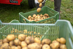 Grow and be selfsufficient with VARI.cz - 6th part Grow and be selfsufficient with VARI.cz - 6th part