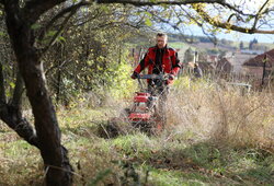 Disposal of grass and invasive plants using the VARI F-700 HYDRO HURRICANE professional mulcher 