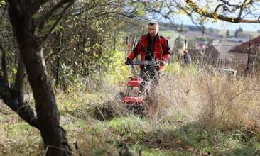 Disposal of grass and invasive plants using the VARI F-700 HYDRO HURRICANE professional mulcher 