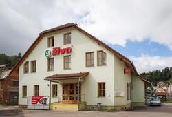 ziva1