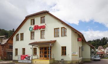 ziva1