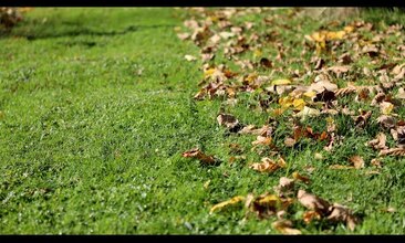 Péče o trávník s VARI.cz - 7. díl - příprava trávníku na zimu