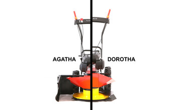AGATHA se loučí, DOROTHA přichází
