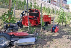 Efektivní údržba zeleně v srdci Prahy