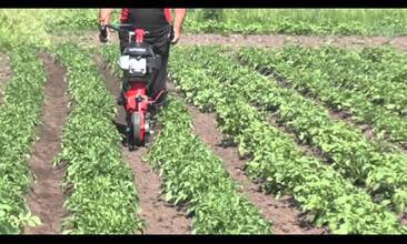 Sestava VARI na proorávání brambor