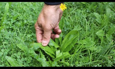 Péče o trávník s VARI.cz - 6. díl - Jak se starat o trávník v létě